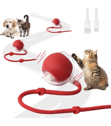 jouet électrique intelligent pour animaux de compagnie